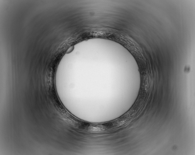 X0000098080510200805021025