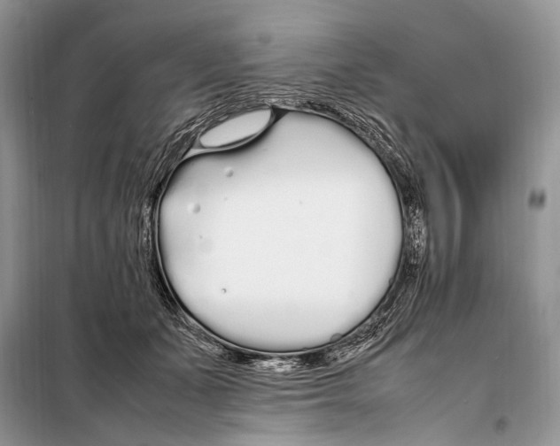 X0000098080511200805021025