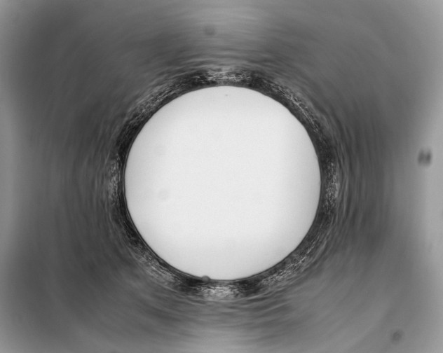 X0000098080513200805021025