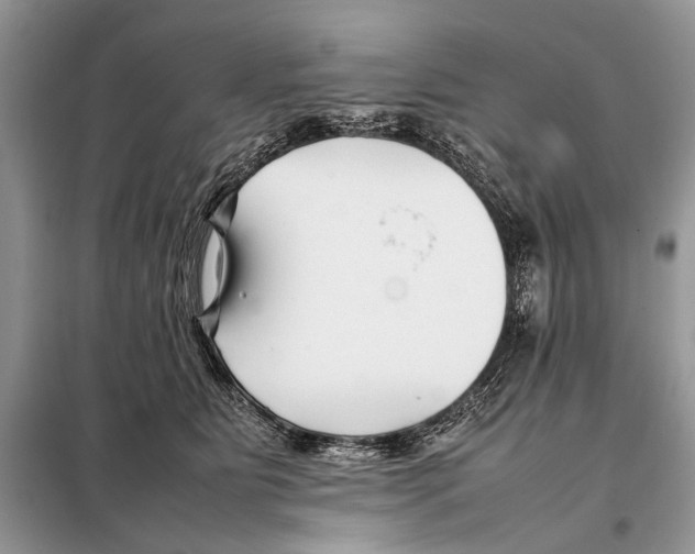 X0000098080515200805021025