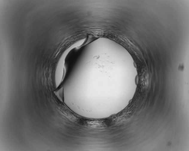 X0000098080516200805021025