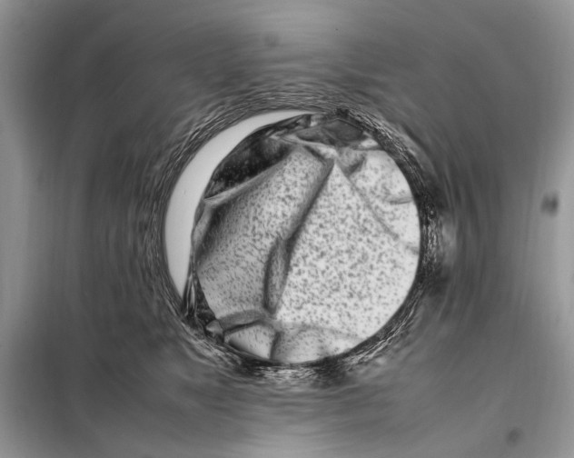 X0000098080517200805021025
