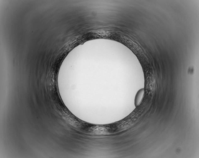 X0000098080518200805021025