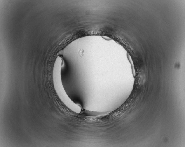 X0000098080521200805021025