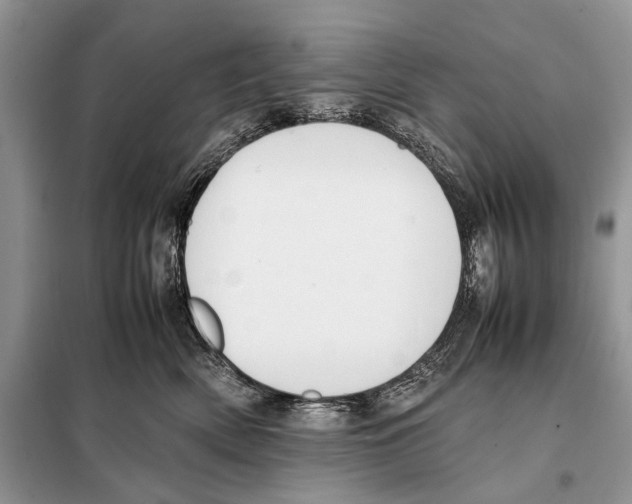 X0000098080522200805021025
