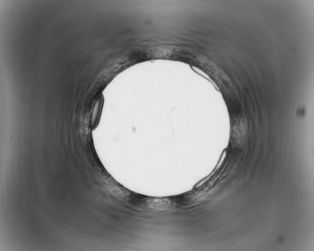 X0000098080525200805021025