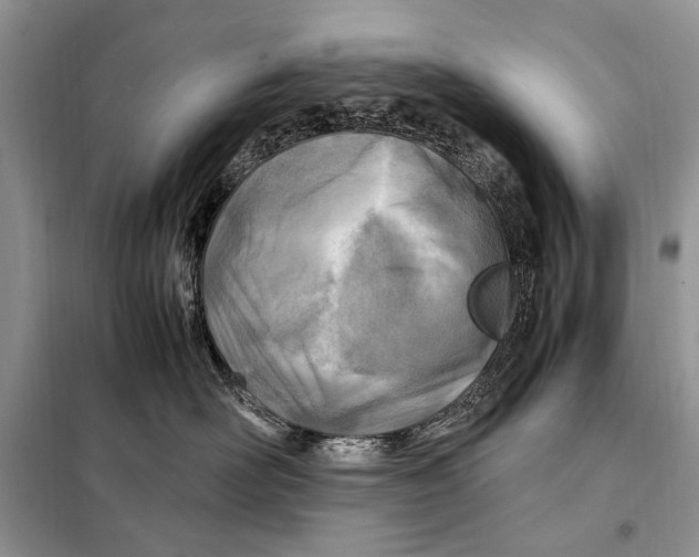 X0000098080526200805021025