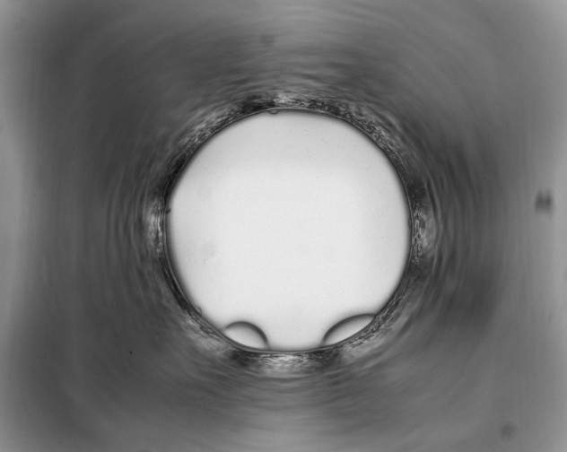 X0000098080527200805021025