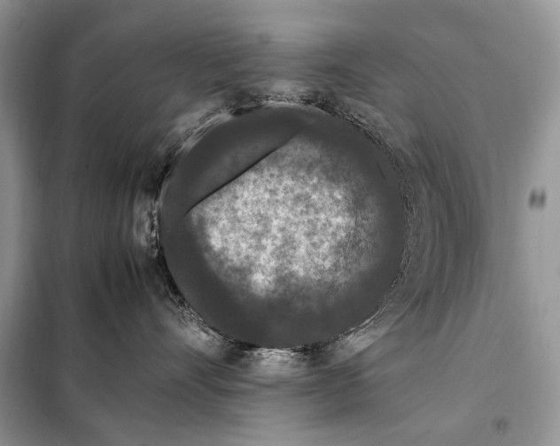 X0000098080528200805021025