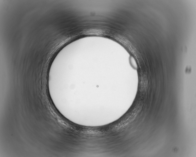 X0000098080529200805021024