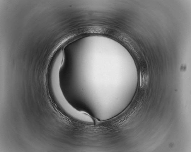 X0000098080531200805021024