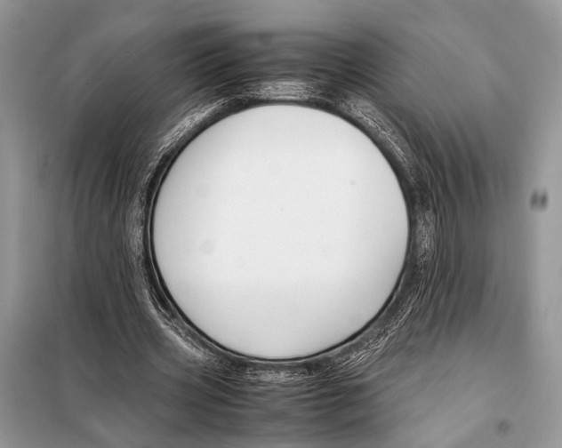 X0000098080533200805021024