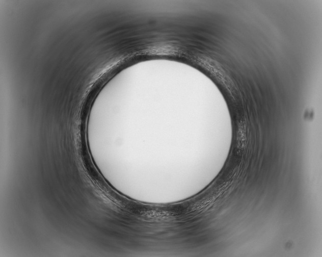 X0000098080535200805021024