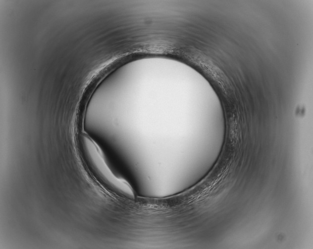X0000098080536200805021024