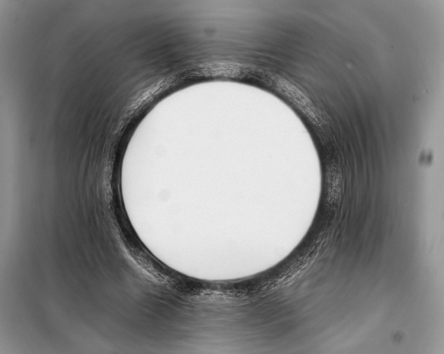 X0000098080538200805021024
