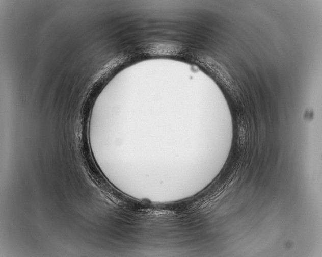 X0000098080539200805021024