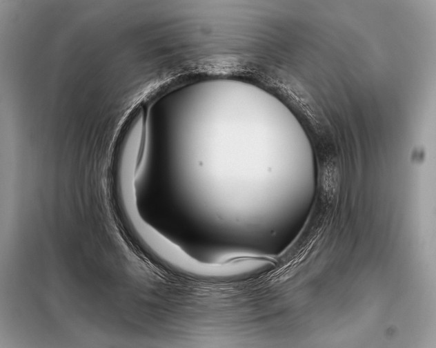 X0000098080540200805021024