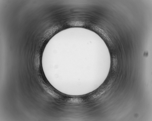 X0000098080541200805021024