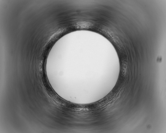 X0000098080543200805021024