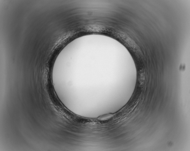 X0000098080544200805021024