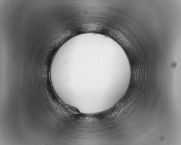 X0000098080546200805021024