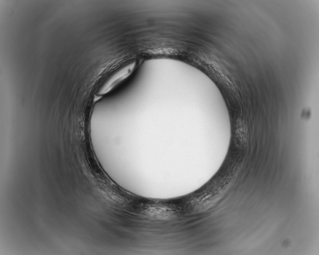 X0000098080547200805021024