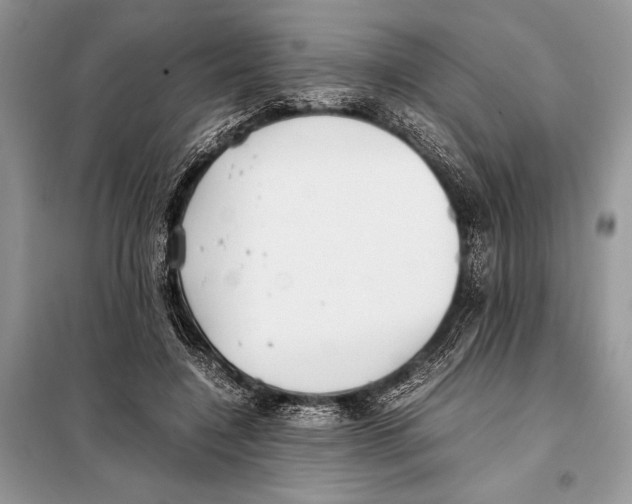 X0000098080548200805021024