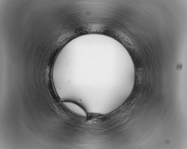 X0000098080550200805021024