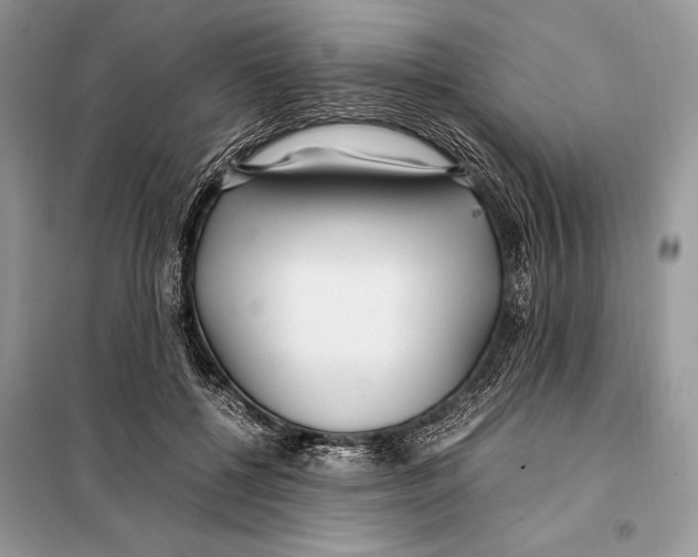 X0000098080552200805021024