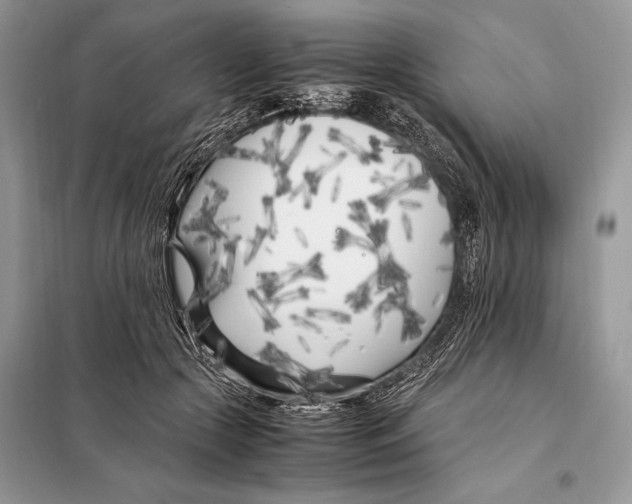 X0000098080553200805021024