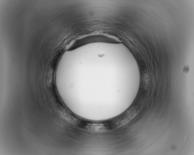 X0000098080554200805021024
