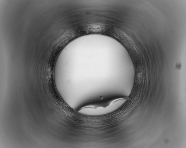 X0000098080555200805021024