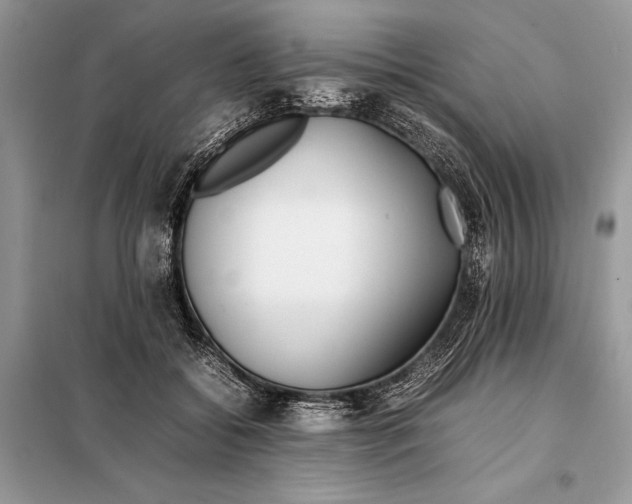 X0000098080556200805021024