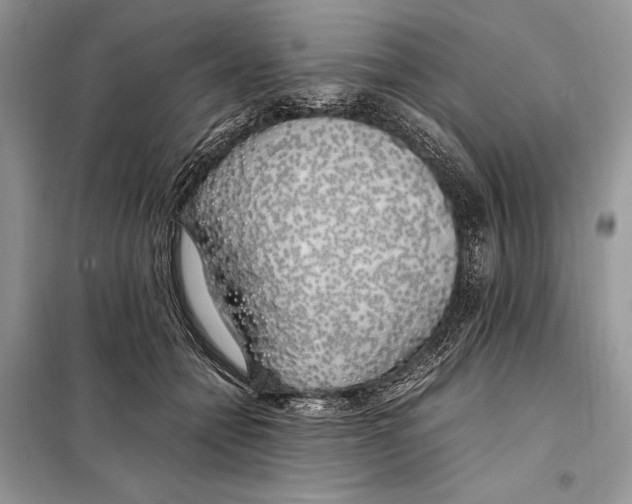 X0000098080558200805021024