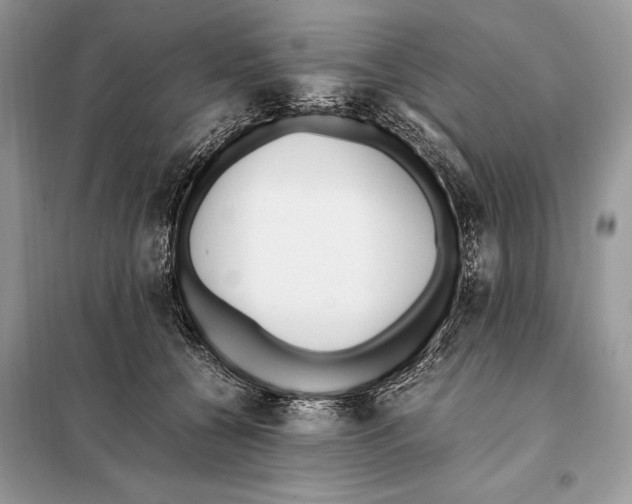 X0000098080560200805021024