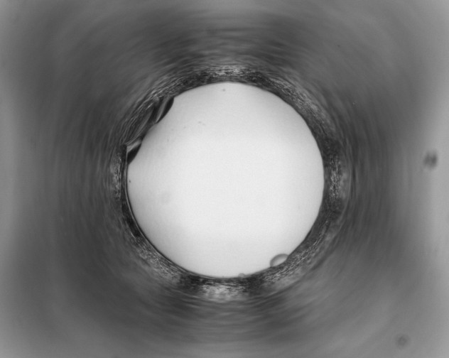 X0000098080561200805021024