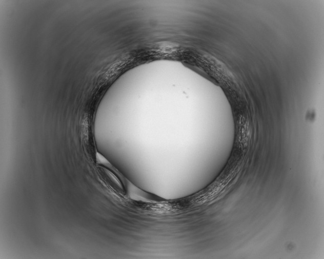 X0000098080562200805021024