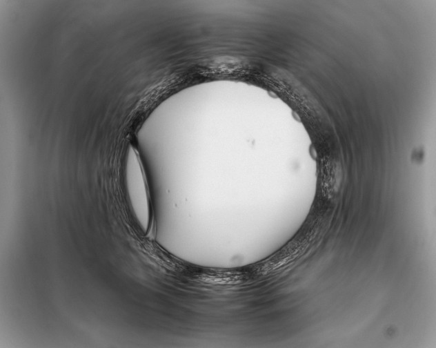 X0000098080563200805021024