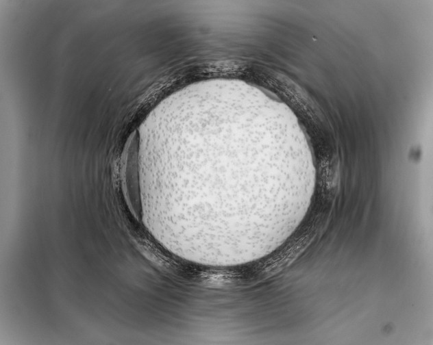 X0000098080564200805021024