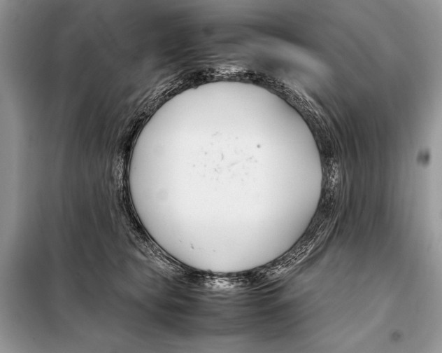 X0000098080565200805021024