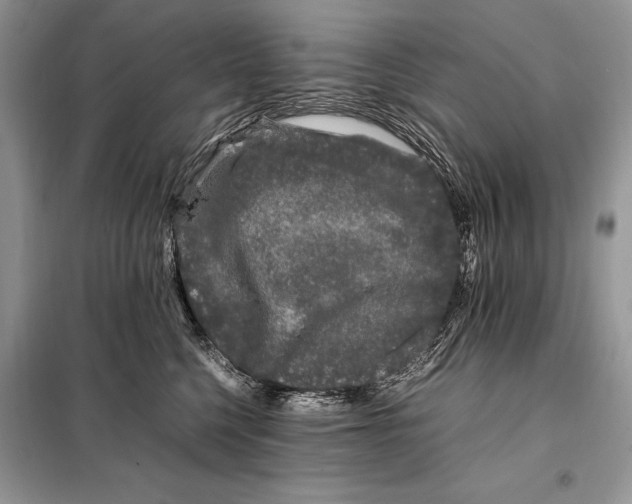 X0000098080568200805021024