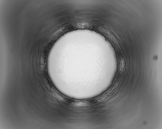 X0000098080569200805021025