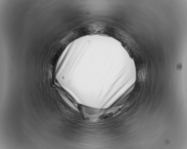 X0000098080570200805021025