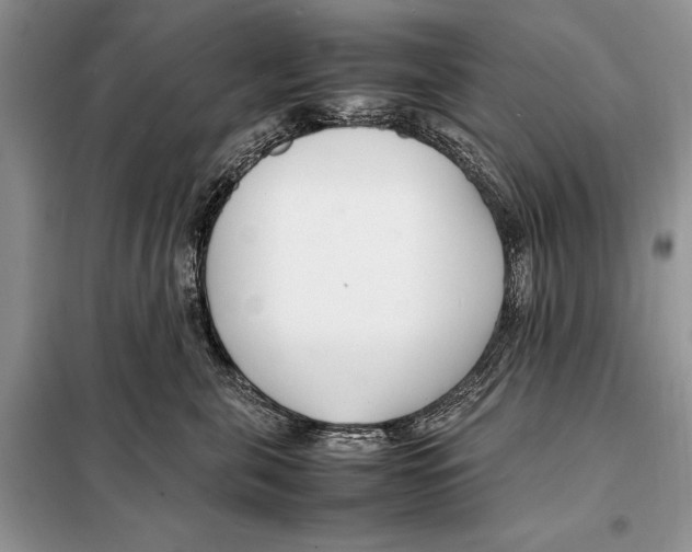 X0000098080571200805021025