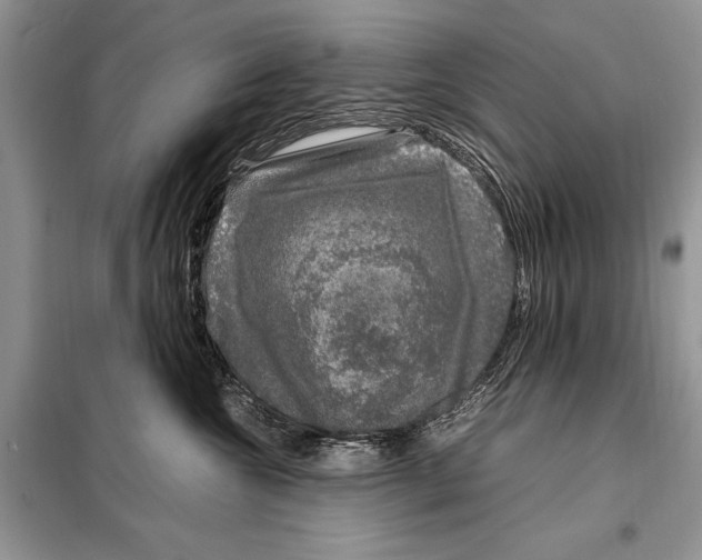 X0000098080572200805021025
