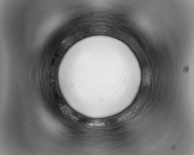 X0000098080573200805021025