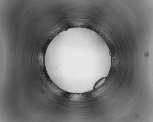 X0000098080575200805021025