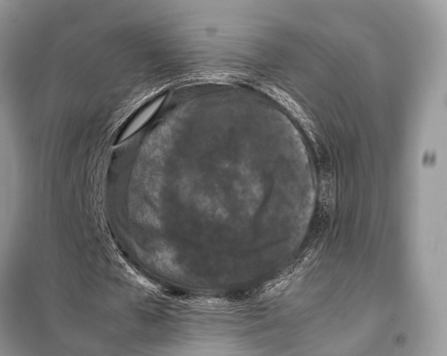 X0000098080577200805021024