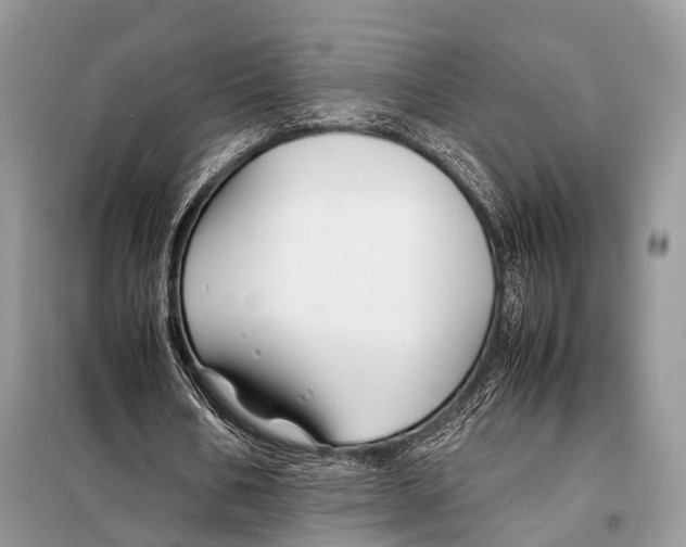 X0000098080578200805021024