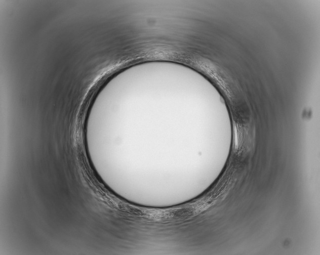 X0000098080579200805021024